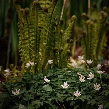 Little Escape No 2 Holiday home