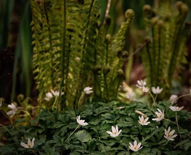 Little Escape No 2 Сasa de vacaciones